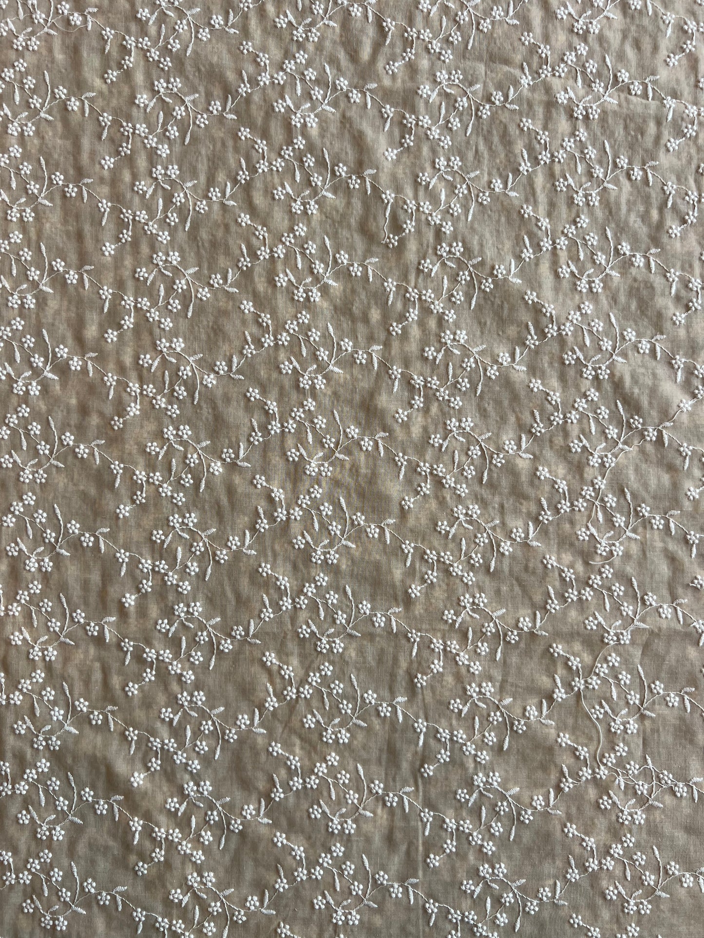 Chikoo Colour All Over Embroidered 2 by 2 Rubia Fabric