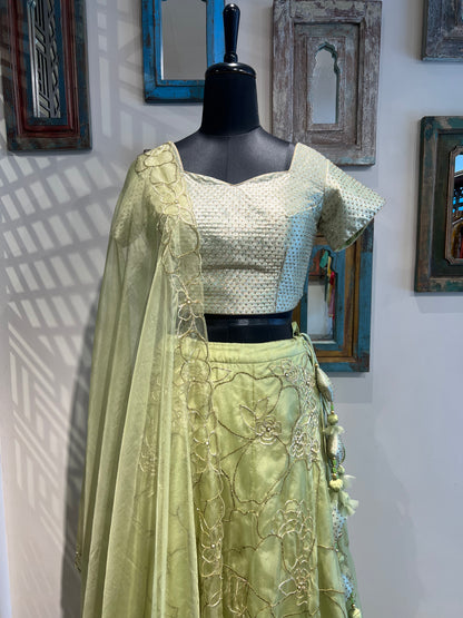 Green Hand Work Lehanga