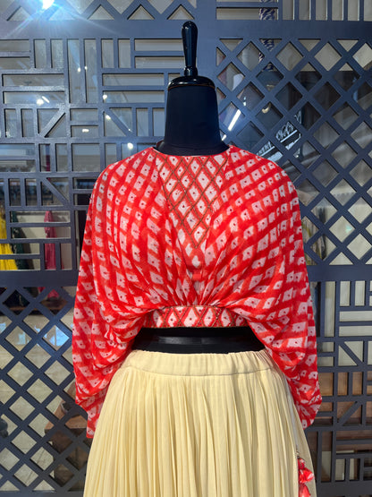 Hand Painted Skirt Blouse Set